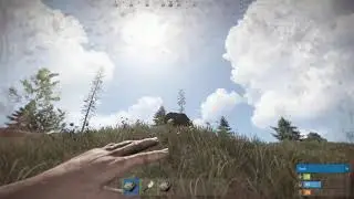 Mex VS The Bear 1