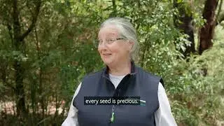 Nangana Seedies | From the Ground Up: Stories of Landcare