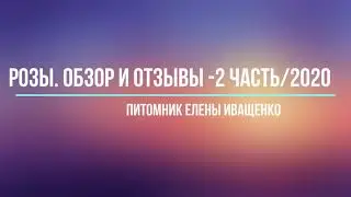 Часть 2/2020. Обзор и Отзывы о Розах Елены Иващенко.