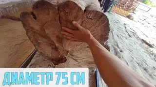 На что способна пилорама ТАЙГА-2 (7.5 кВт) | Распил бревна диаметром 75 см