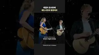 청룡과 백호 아니냐고..