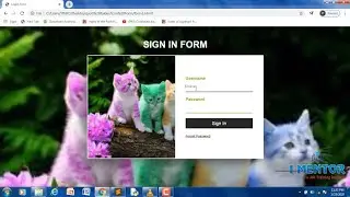 Responsive Contact Form Using HTML & CSS (2020)