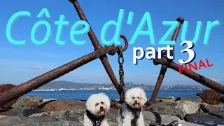 Côte d'Azur : Bichon road trip part 3