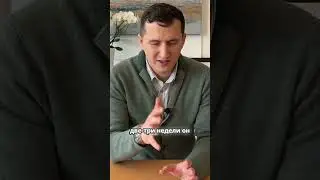 Сроки по визе таланта