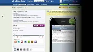 Using the Mobile Site Redirect Script
