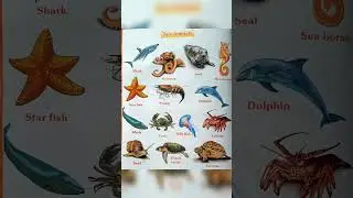Sea Animal Name In Englsih || 10 Sea Animal Name || Animal Name #shorts #short #youtubeshorts