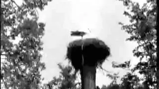 1970.Пушкинский праздник поэзии в Михайловском