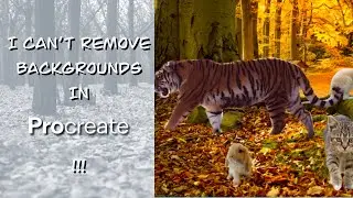 Removing an image background to use in procreate