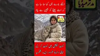 This girl is viral on social media with her pet Cheetah 🐆 #cheetah #news
