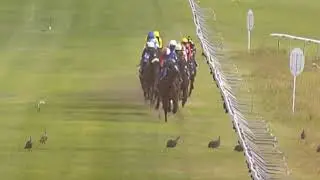 ONE WORLD - 2020 Sun Met Gr1