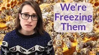 This is Why I Don't Eat Honey