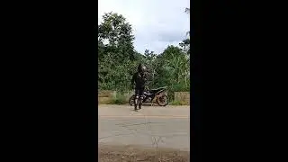 Momoland Dance Predator (2018)