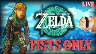 Beating TOTK with only MY FISTS