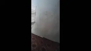 Сули Сайкуев в прямом эфире!