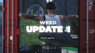 CityLife 2.0 | Weed Update