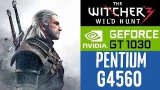 The Witcher 3 - GT 1030, INTEL G4560, 8GB RAM