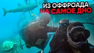Дайвинг в Черном море| Музей под водой| Затонувший корабль| Какие сложности при первом погружении?