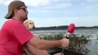 Funny pet clip 2020 - There is always a lot of happiness with pets