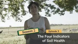 The Four Indicators of Soil Health