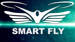 smart fly