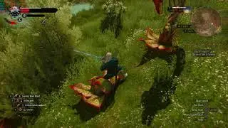 Witcher 3 - Wild Hunt Benchmark | Ryzen 5 1600 | GTX 1650 Super