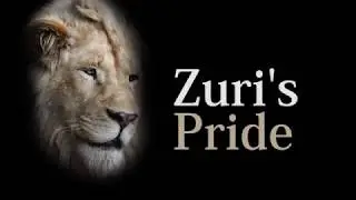 ZURI'S PRIDE Official Trailer (2017)