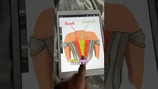 🧵Making a Corset BIGGER!  