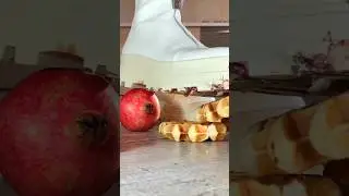 White Rabbits vs. Breakfast! Oddly Satisfying Boots Crushing Food! ASMR