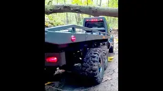 RC Crawlers’ Greatest Hits! 🚛✨ | Epic Off-Road Highlights #Shorts