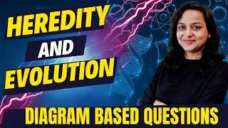 HEREDITY AND EVOLUTION | DIAGRAM BASED QUESTIONS | CLASS 10 | MAHARASHTRA BOARD