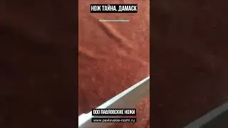Нож Тайна Дамаск