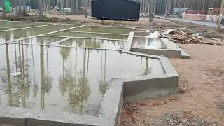3 ноября 2021 г.