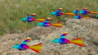 3D Flying Bird crowd or Flock animation in Maya 2023 with Mash