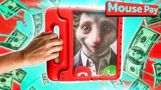 What is Mouse Pay? Do they accept Mouse Pay?