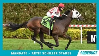 Mandate - 2021 - Artie Schiller