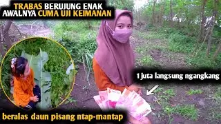 TRABAS AGAIN WITH AMEL