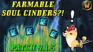 Farmable Soul Cinders in 9.1.5! (Way faster sockets for gear and rank 5/6 Legendaries!)