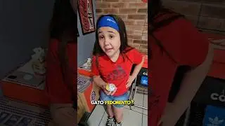 O GATO ARRANHOU MINHA IRMÃ PT2 !!! #shorts #figuritaloshorts