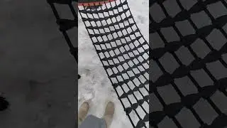 Лабрадор скачет