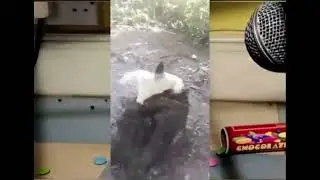 whatever this might be