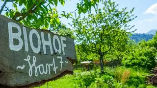 Biohof Hart7, Gemeinschaft mit Kinder und Tieren in Kärnten, Südösterreich