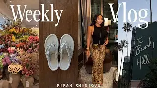 VLOG: they called the police on us + 24 Hours in LA + brunch w/the girls + chaotic closet clean out