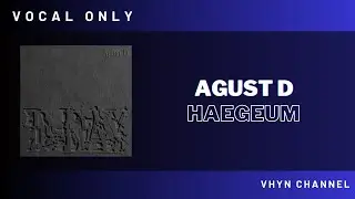 [Vocal Only] Agust D - Haegeum