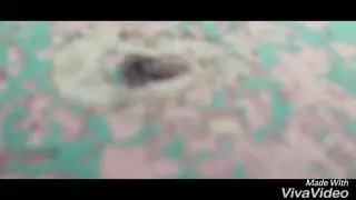 СХОДКА В ЧЕСТЬ 27_ПОДПИСЧИКОВ!!!!!!