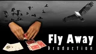 Easy Card Production for Beginners - Fly Away Production