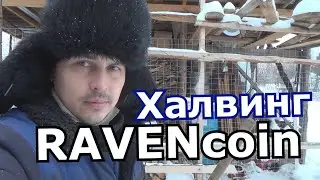 халвинг равенкоин