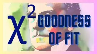 CHI SQUARE GOODNESS OF FIT