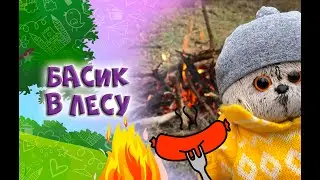 Басик в лесу / Про басика / Пикник в лесу / Игра с Басиками 
