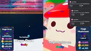 I hatched TWO HUGE Orcas on camera! (Roblox - Bubble Gum Clicker)