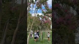 Парк Галицкого